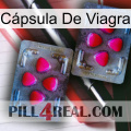 Cápsula De Viagra 15